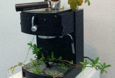 FMAC et MAH Une machine à café où la nature à repris ses droits