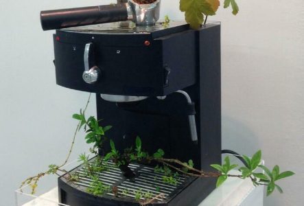 Une machine à café où la nature à repris ses droits