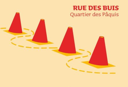 Parcours agilité pour les jeunes à la Rue des Buis