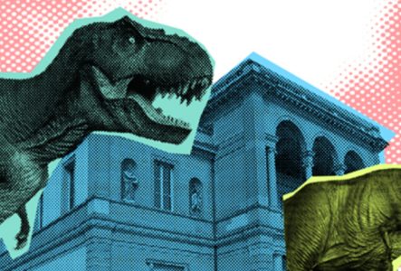 Muséum Genève Illustration d'un T-Rex devant le Musée d'histoire des sciences, Muséum Genève