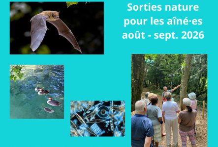 Sorties nature pour les aîné.es, photos de groupe, de baies et d'animaux