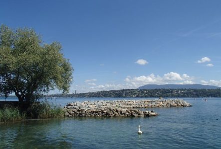 Photo de l'exposition Léman être vivant
