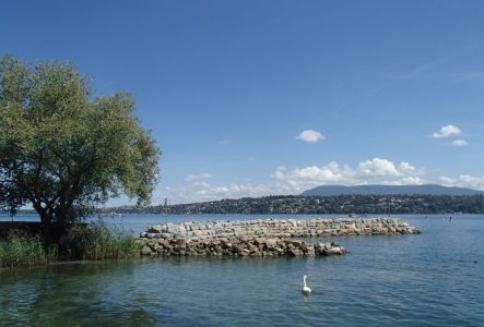 Photo de l'exposition Léman être vivant