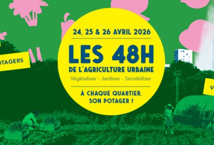 Potager au sein d'une ville, fond vert et légumes roses en arrière-plan