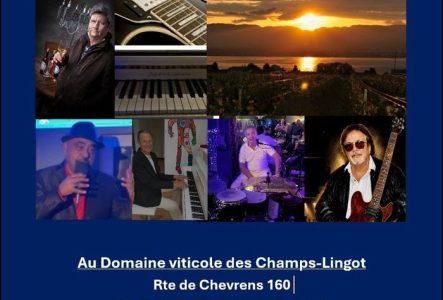venez fêter l'été à Anières avec 3 groupes de musique