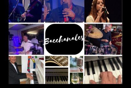 artistes musiciens des groupes The Band et Latin Lovers pour la soirée du 8 octobre