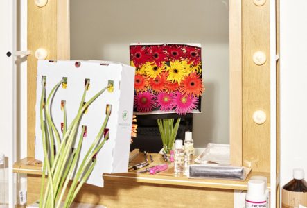 DR Une toile de Fleurs dans un miroir de loge avec du maquillage