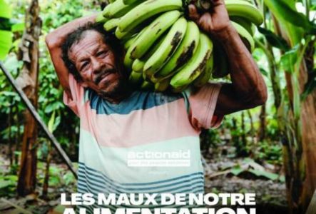 ActionAid, Clément Lefer Un homme qui porte des bananes vertes