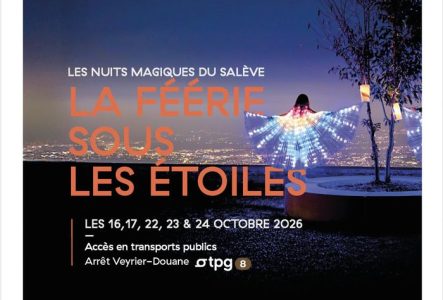 Vue sur Genève de Nuit avec des illuminations
