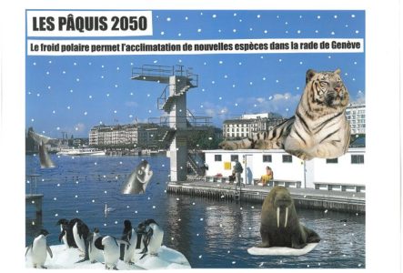 bain des Pâquis, neige, morse, orque, pinguins