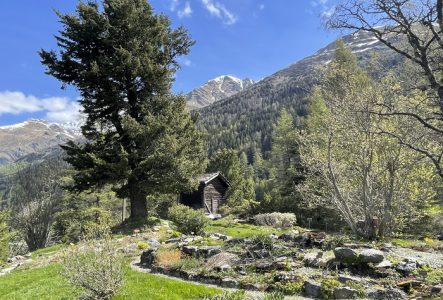 Rocailles avec chalet et montagne