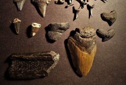 hiéroglyphes
