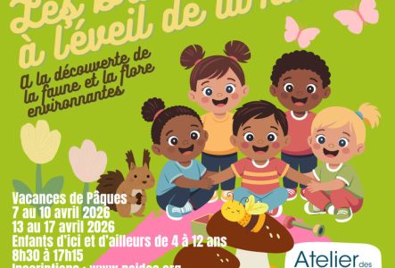 Les Bricolos à l’éveil de la nature ! 🌱🌼