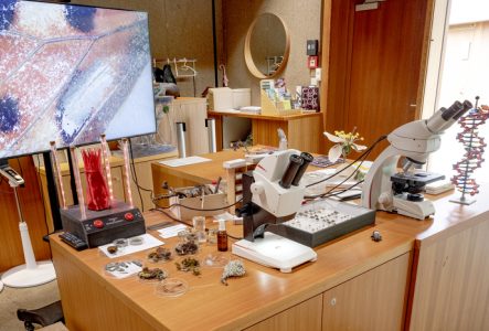 Table avec plusieurs échantillons végétaux à observer, loupe binoculaire et écran d'observation.