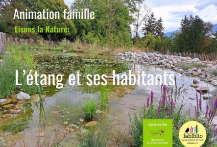 Animation famille - Lisons la nature: L'étang et ses habitants - photo de l'étang du parc Navazza-Oltramare au Petit-Lancy