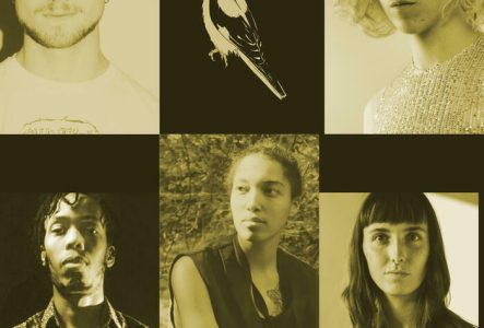 Les cinq musicien.ne.s et un loriot