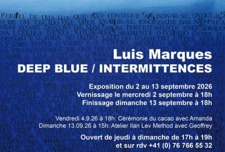 Flyer de l'exposition de Luis Marques