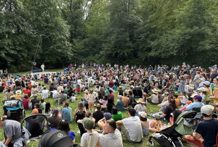 DR Du monde assis dans l'herbe