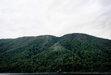 Photo d'une montagne verdoyante au bord de l'eau.
