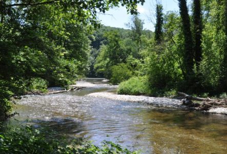 La rivière Allondon que nous longerons en partie lors de notre marche.