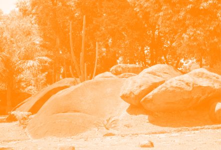 Ce sont des rochers avec un peu de fôret derrière. La photo a un filtre de couleur.