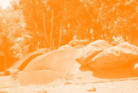 Ce sont des rochers avec un peu de fôret derrière. La photo a un filtre de couleur.