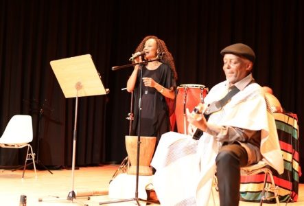 spectacle, musicien, scène, instruments, voix, joie, passion, musique, poésie, Afrique, guitare, rideau noir, identité culturelle