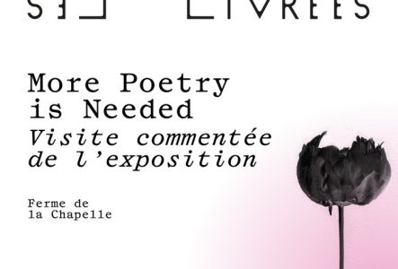 Les Livrées Affiche Les Livrées rose