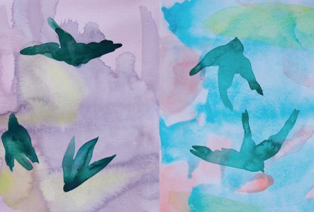 Deux aquarelles réalisées par Marie Ducaté : sur un fond coloré (violet/jaune pour la première, bleu/rose pour la deuxième), la forme de plusieurs oiseaux est représentée.