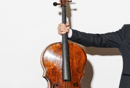 Photo d'un violoncelle