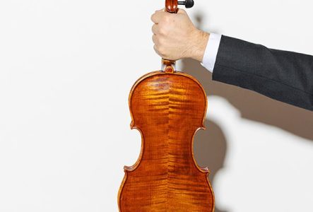 Photo d'un violon de dos