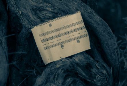 Un morceau de partition sur un tronc d'arbre