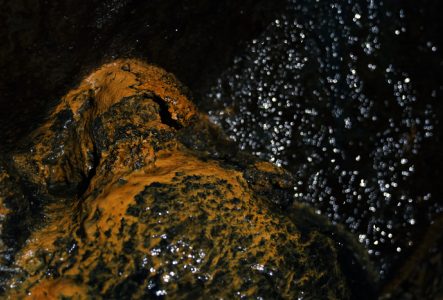 DR Un canyon