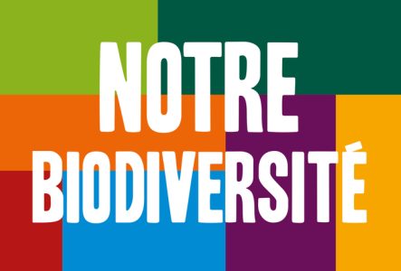 Conservatoire et Jardin botaniques Fond de différentes couleurs avec un texte en blanc: Notre biodiversité