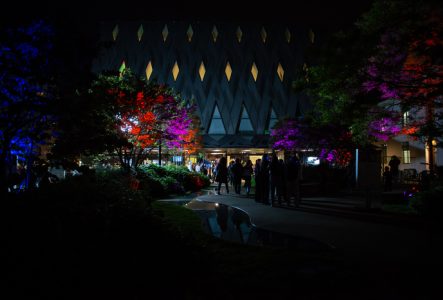 Image du MEG de nuit avec un jeu de lumière