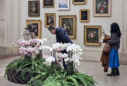 photo d'une salle du musée