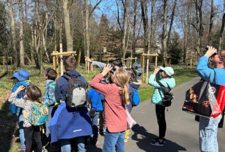 enfants observation oiseaux