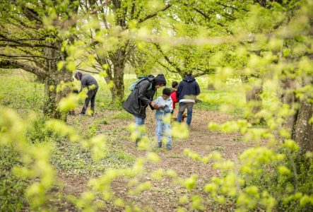 Chasse aux oeufs au parc des evaux