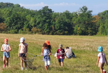 enfants filets papillons