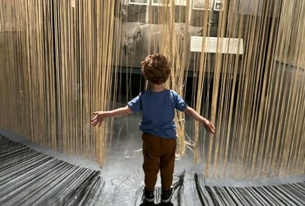 Photo d'un enfant de dos qui découvre une partie d'une exposition au MEG