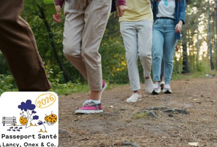 quatre marcheurs en fil indienne sur un sentier forestier.