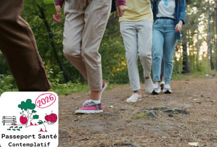 quatre personnes marchent sur un sentier forestier