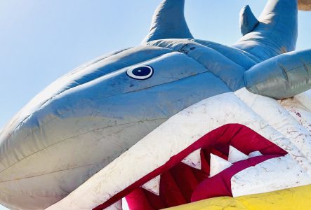 C'est un requin gonflable sur un tobogan gonflable.