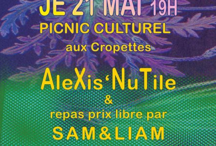 flyer du picnic culturel IASP