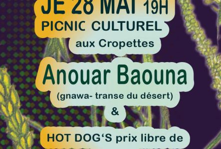 flyer du pic nic culturel