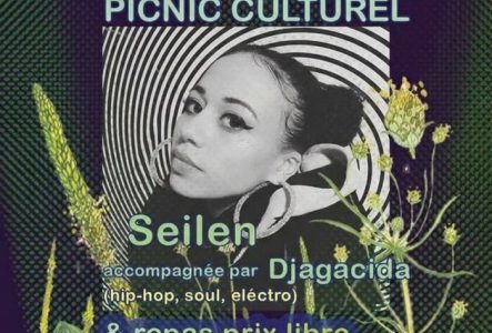flyer picnic culturel