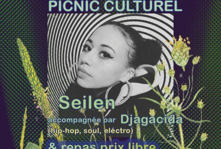 flyer picnic culturel