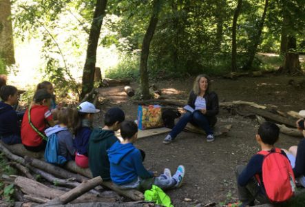 forêt enfants