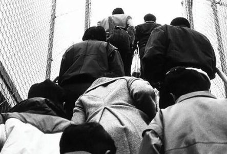 Des personnes de dos montent des escaliers