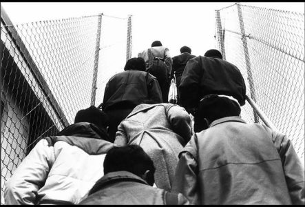 personnes de dos montée d'escalier en n/b